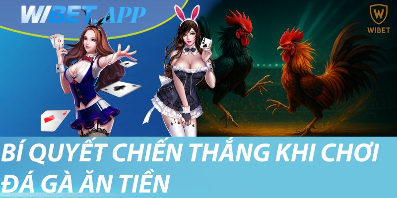Bí quyết chiến thắng khi chơi đá gà ăn tiền