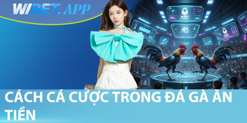 Cách cá cược trong đá gà ăn tiền
