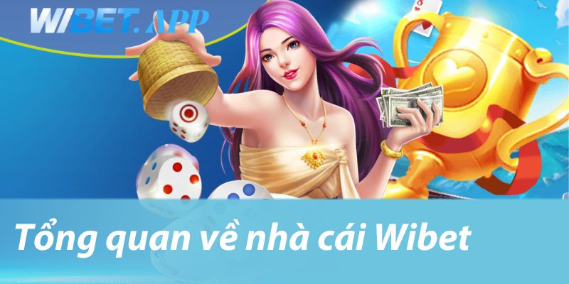 Tổng quan về nhà cái Wibet và cách đăng nhập